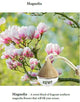 NDST Hanging Air Diffuser - Regular NDST Diffuser Bottle
